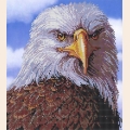 Схема для вышивания бисером КАРТИНЫ БИСЕРОМ  "Гордый орел"